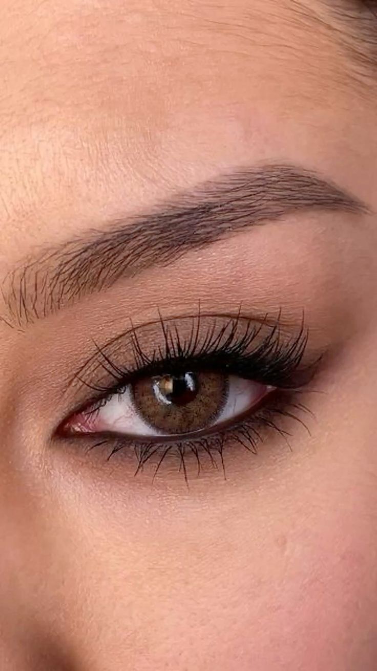 Diamond Beauty Showtime Angel Palette Rose Cosmetics
